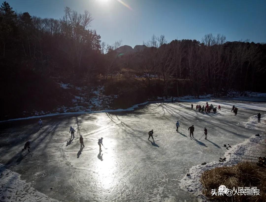 新春走基层新农人的绿色田园梦,新春走基层希望的田野上