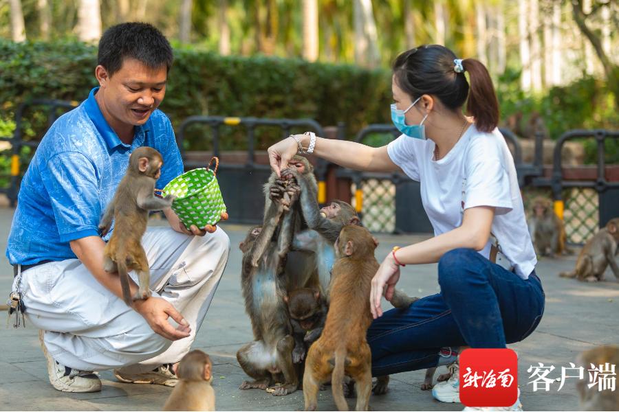 海南旅游研学游攻略,毕业季三亚三日游