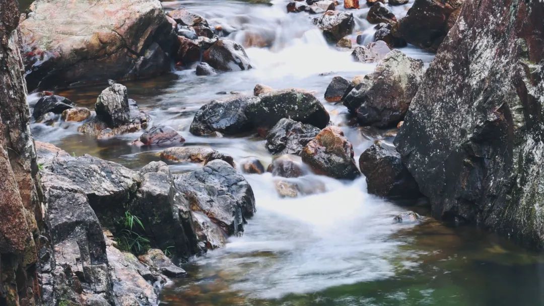韶关小坑国家森林公园游玩攻略,韶关市内小景点