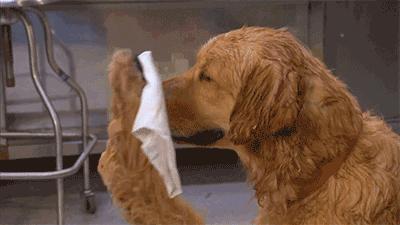 当心！身体出现这样的异味，或是疾病的征兆！千万别大意…