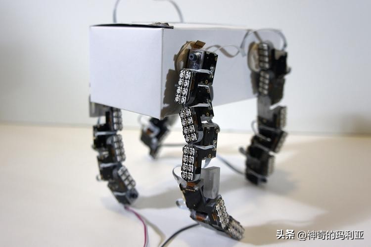 用于无线控制毫米级机器人的磁致动齿轮箱，其究竟有何作用