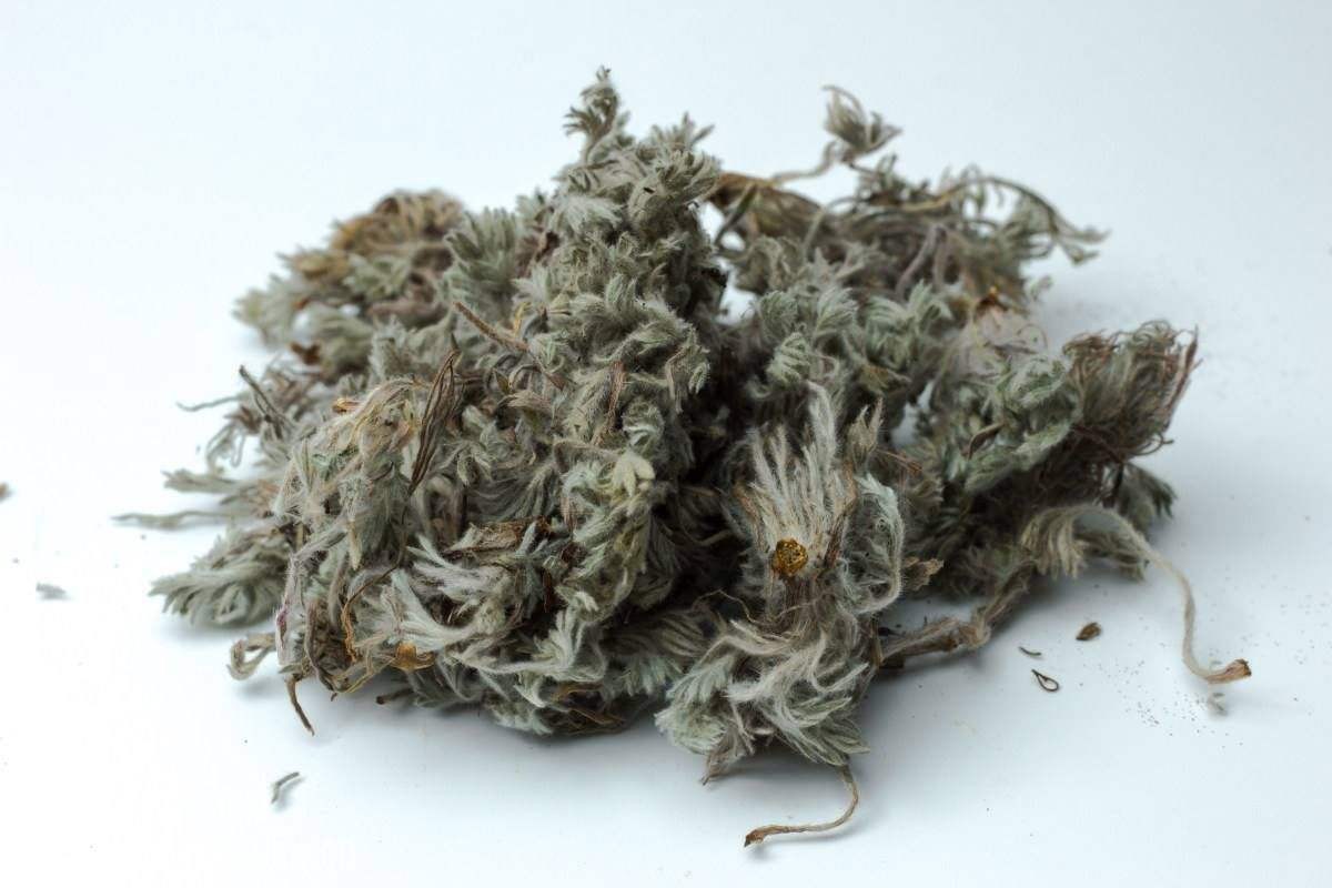 中医治疗慢性胃炎（脾胃湿热证）验方1首，清热泄浊、和胃除痞