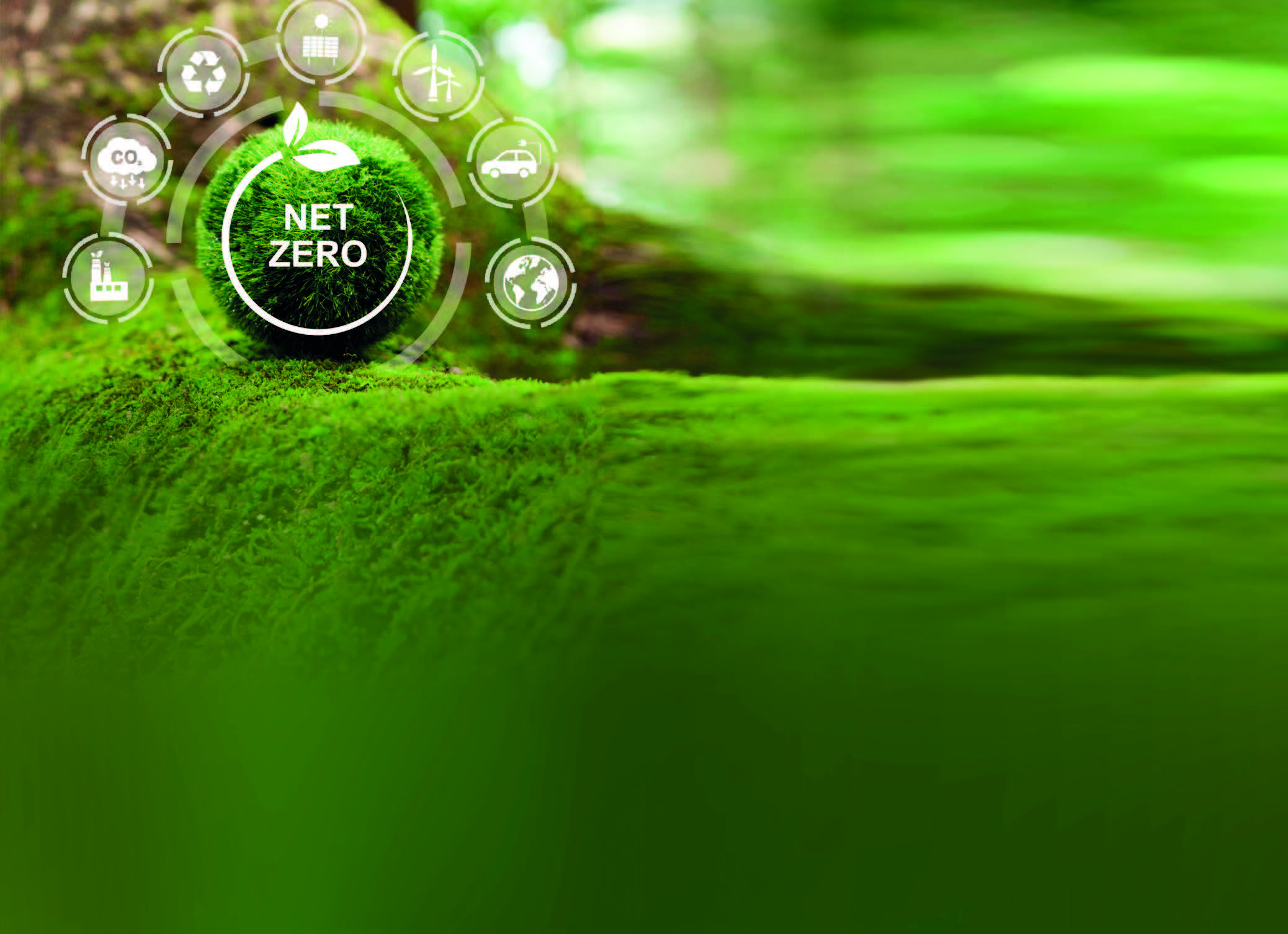 绿色营销的特点表现为,绿色营销观念的例子