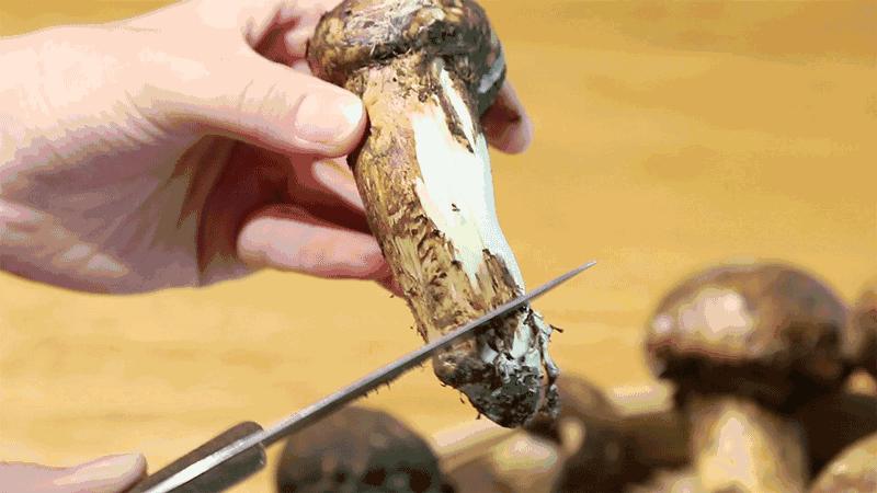 正宗老东北美食,二十多年的老东北美食