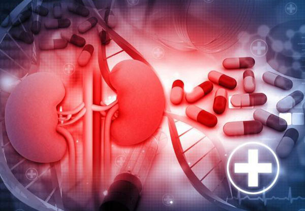 药物导致急性肾损伤能治好吗,老年急性肾受损吃啥药