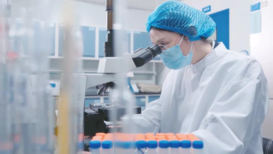 国产奶粉推荐伊利金领冠,伊利奶粉金领冠珍护儿童奶粉