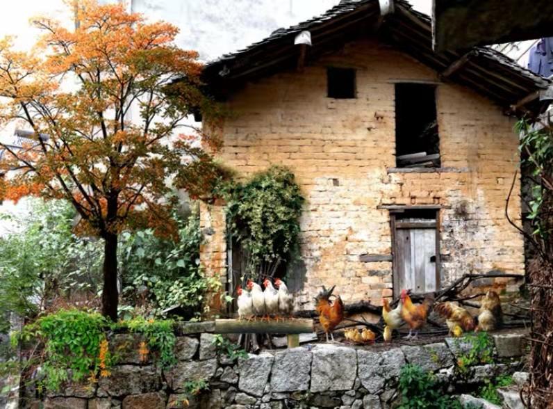 散文：一项有趣的晨练运动