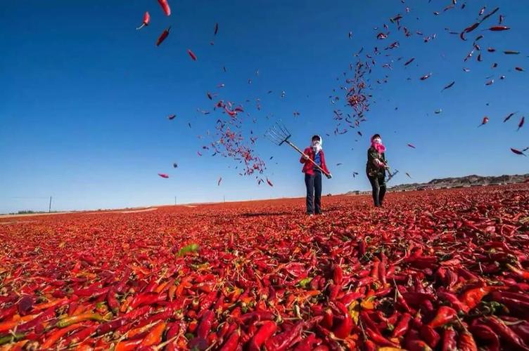 川菜十大经典菜排名,川菜十大名菜十大经典