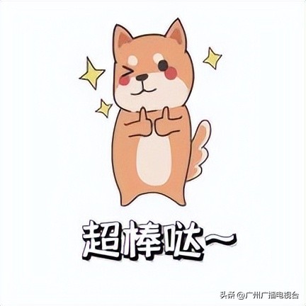 广视新闻回放,广视新闻同步直播