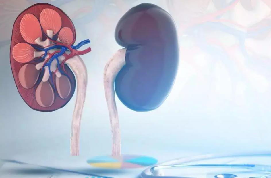 打架的时候身体会颤抖是什么原因,争吵打架身体为什么会发抖