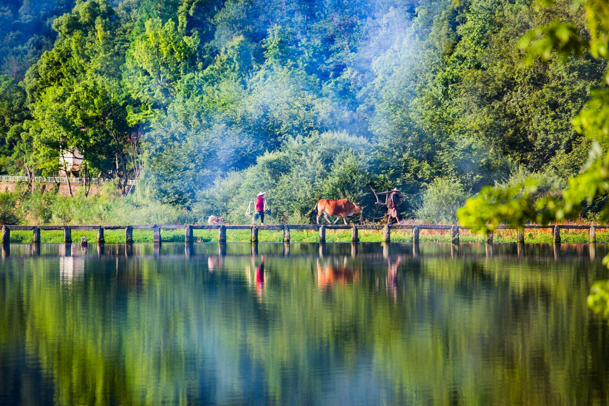 丽水仙都风景名胜区旅游路线,丽水仙都风景区晚上