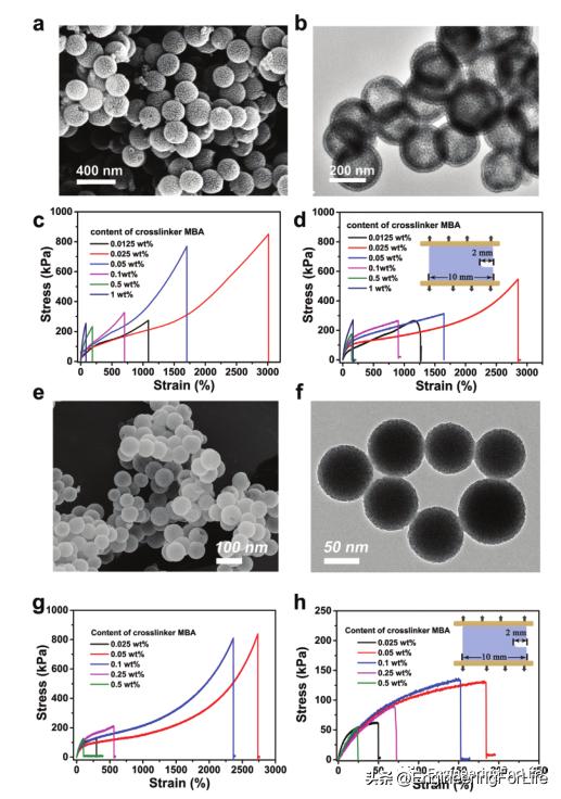 afm在纳米材料上的应用,afm有何应用