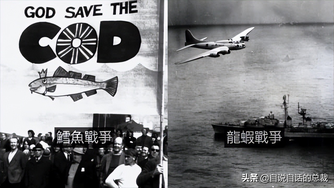 龙虾青龙和花龙区别,龙虾也是生物为什么我们要吃它