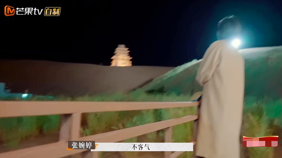 张婉婷宋宁峰最终结果,宋宁峰张婉婷细节分析