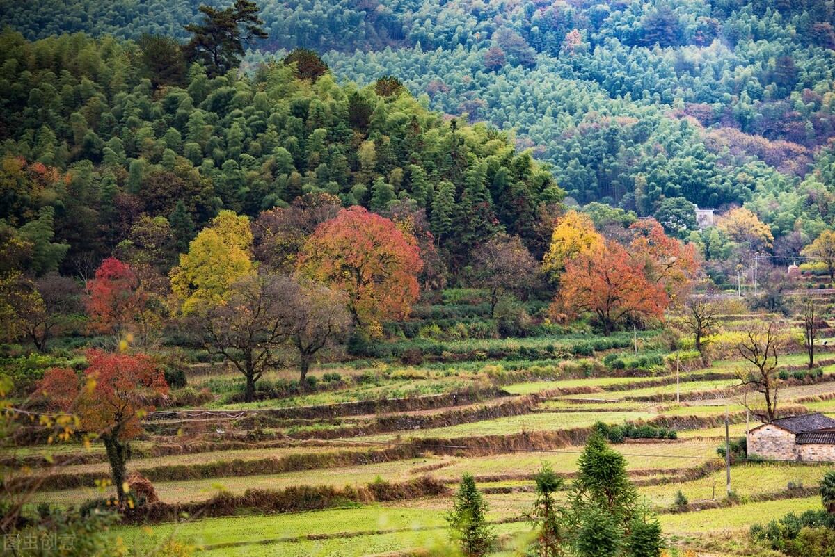 难言之隐全文,难言之隐完整视频