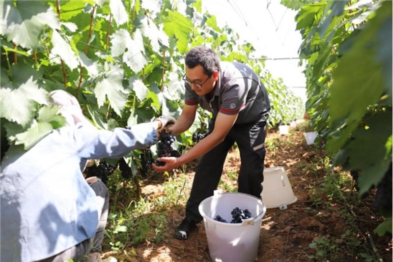 顺丰快递618高峰应对方案,顺丰快递配送路径优化