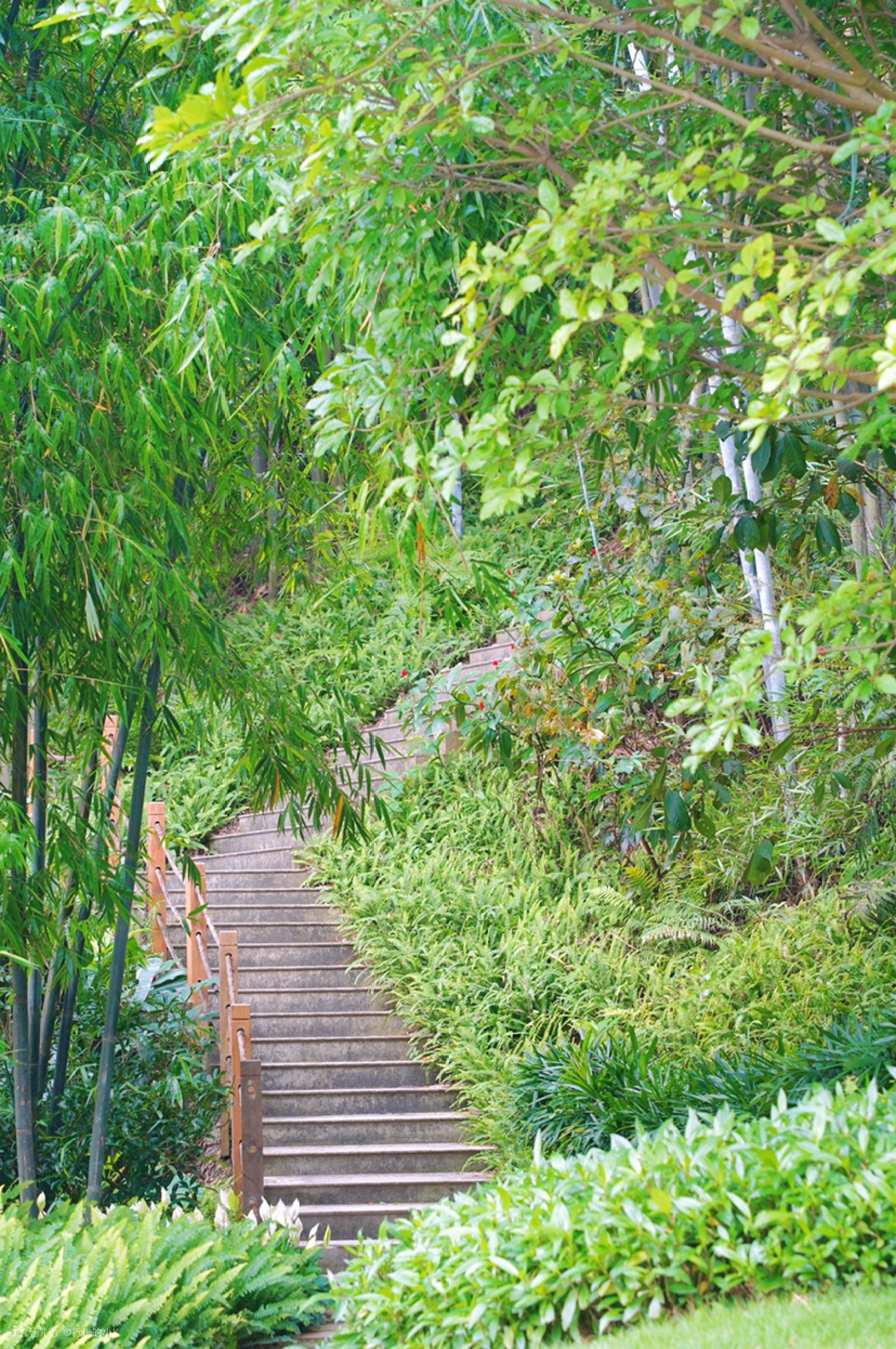 广州附近探险游玩地打卡,广州周边秋游游玩攻略