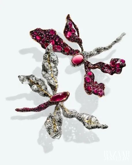 东西方大师都爱“小蜻蜓”，背后到底有什么大秘密？