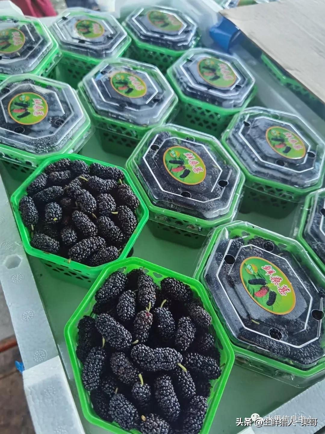 在水果中浆果是分哪几种,水果分类浆果