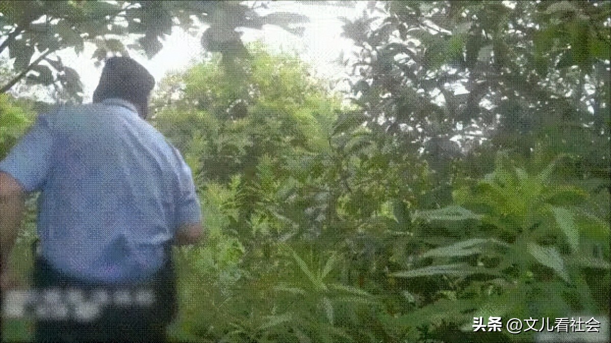 杭州男子被困绿化带多日,小伙被困绿化带四天三夜后续