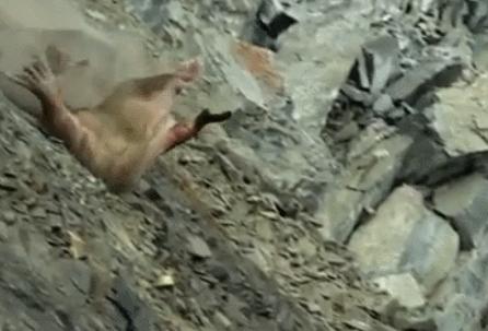 极端高温怎么解决啊,极端温度灾害主要有