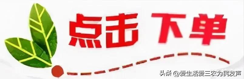 中年女人创业适合什么项目,中年创业项目推荐