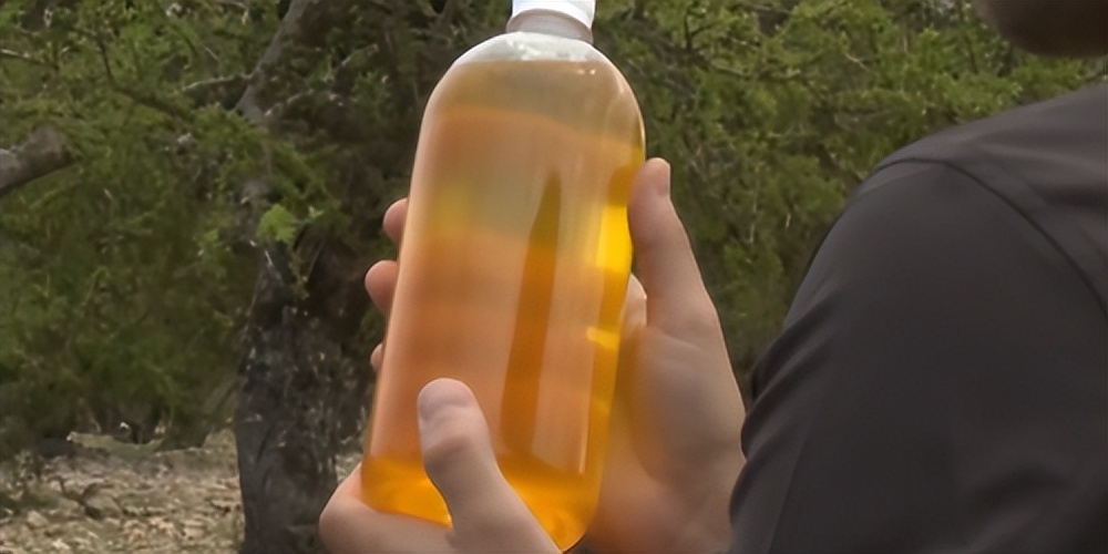 摩洛哥上树的羊,摩洛哥踢足球厉害吗