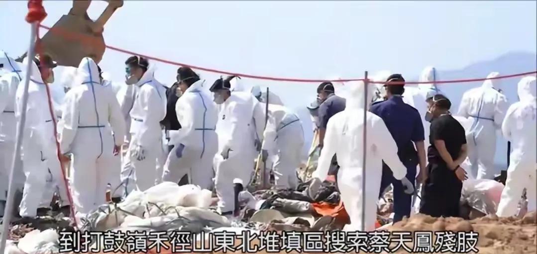 香港28岁名媛蔡天凤因为什么被害,香港28岁名媛蔡天凤最新进展