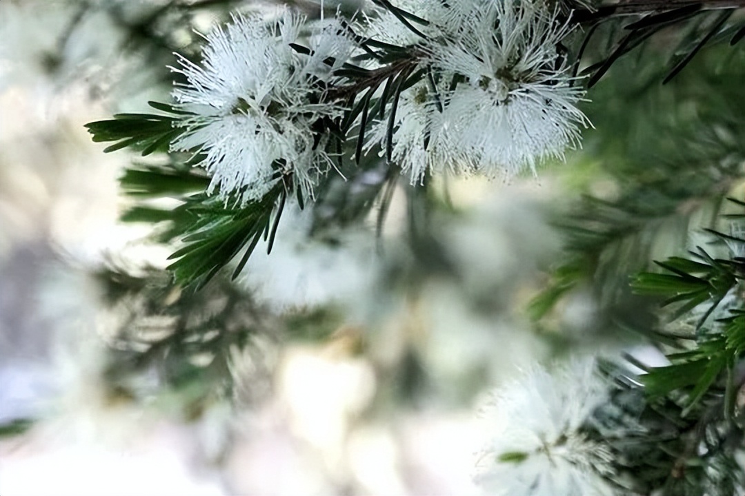 防晒！这个世界上除了前男友，伤你最深的还有「紫外线」