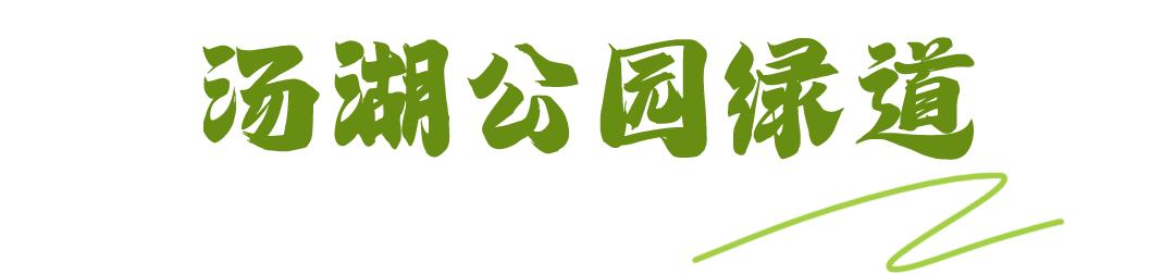 秋日暖阳骑行绿道,骑车绕城绿道值得打卡的推荐