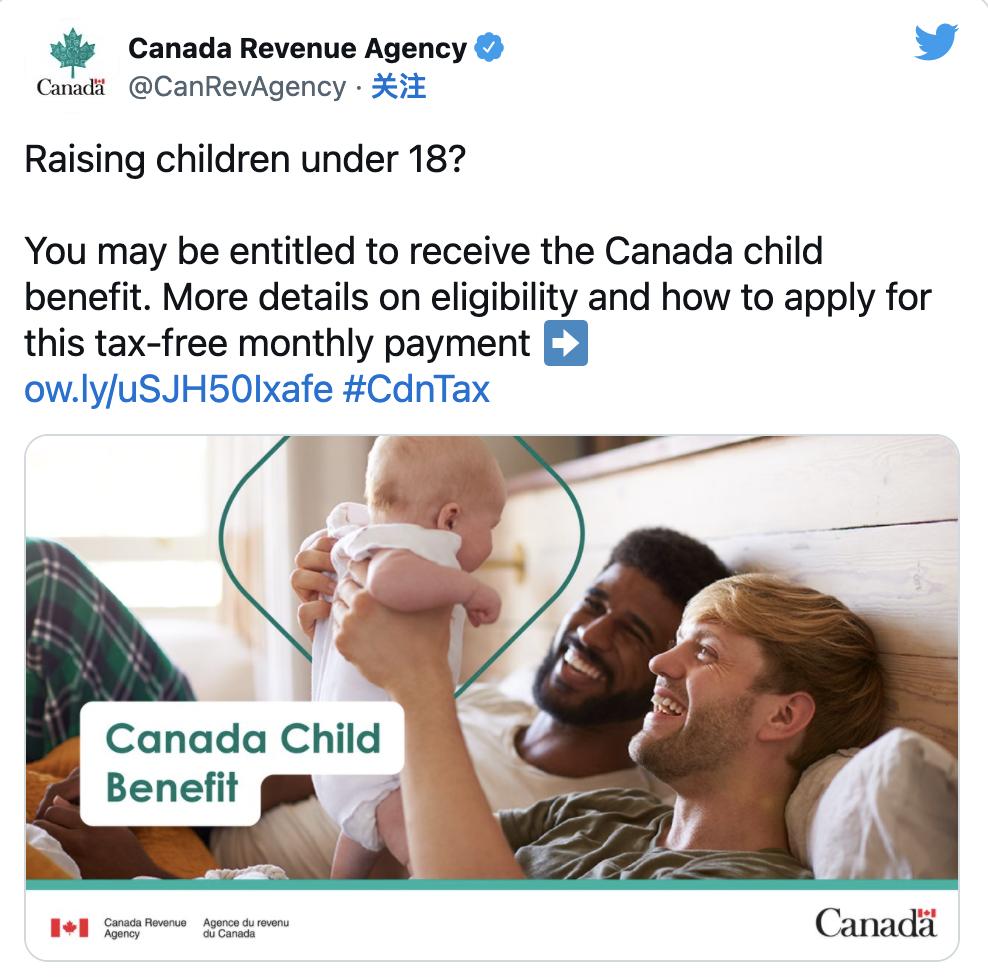 加拿大牛奶金领取攻略家长必看,加拿大的牛奶金每月有多少