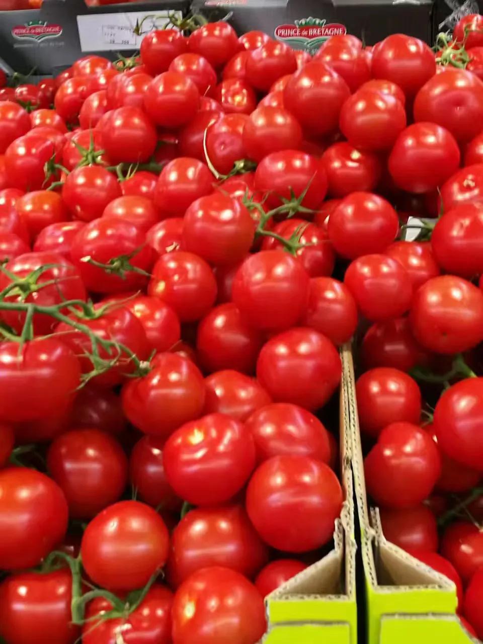 巴黎自由行详细攻略,旅行去巴黎如何坐地铁