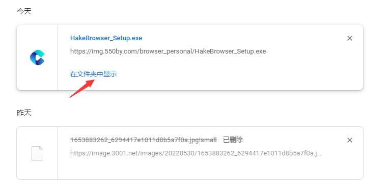 浏览器怎么看下载过的内容,浏览器里面的东西存储在哪