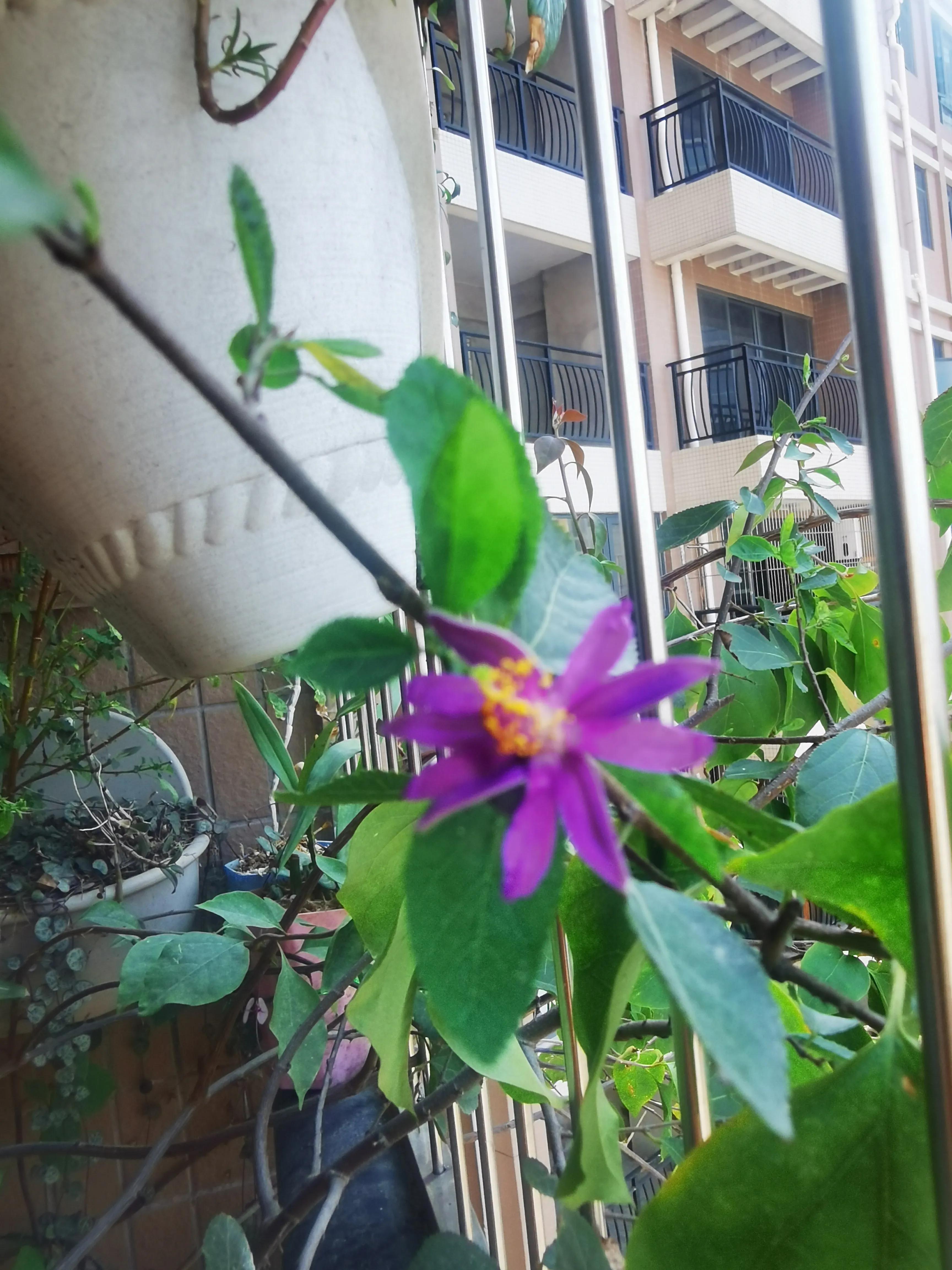 婚外情在情感上最怕的是什么,婚外情背叛婚姻的人