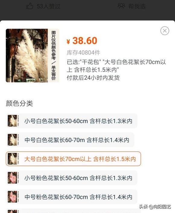 芦苇能卖多少钱,芦苇可以卖多少钱