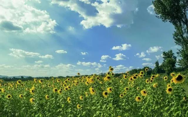 女人经过百次忍让才狠心离婚,丈夫赌气要离婚妻子起初不同意