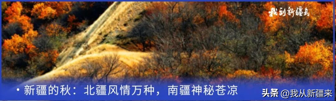 入疆旅游攻略,一篇攻略秒懂新疆