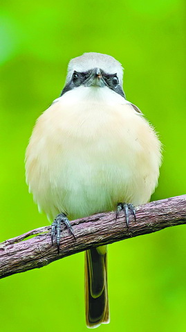 厦门比较大的公园,厦门最新的公园