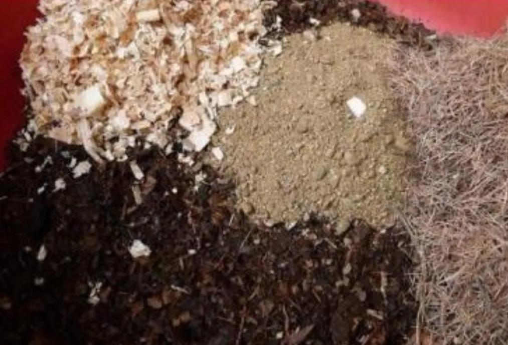 如何制造土壤营养土,种植营养土如何选择好的