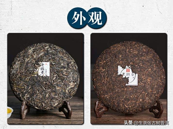 普洱茶知识100字左右,关于普洱茶的知识大全书籍有哪些