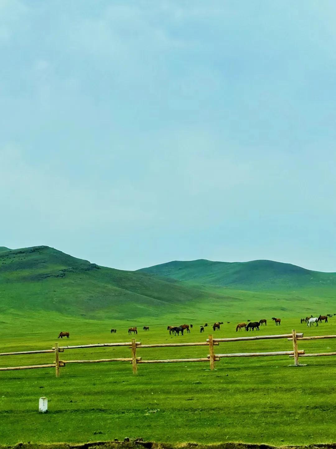 呼伦贝尔旅游攻略自驾游线路推荐,天津到呼伦贝尔自驾游攻略路线
