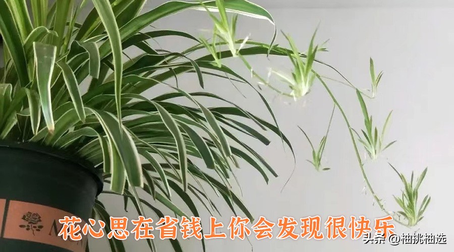 为什么你总在不停地买买买，又想着过极简生活？