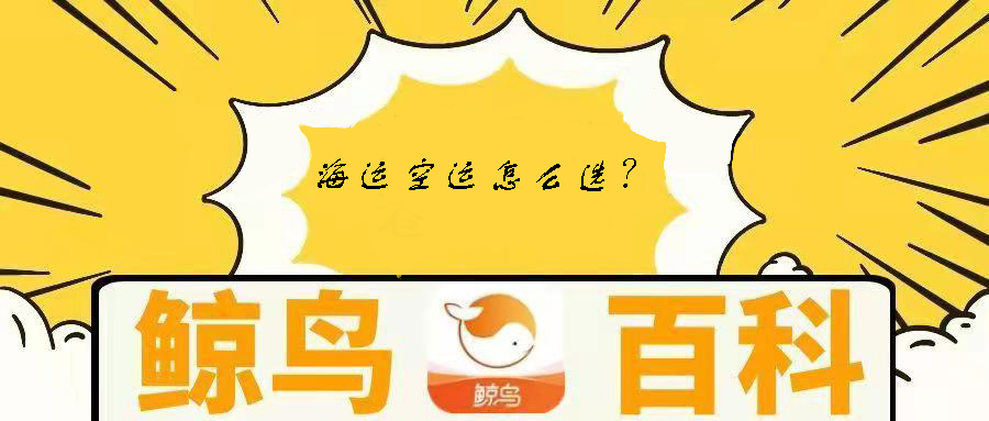 鲸鸟物流百科9--空运海运怎么选？