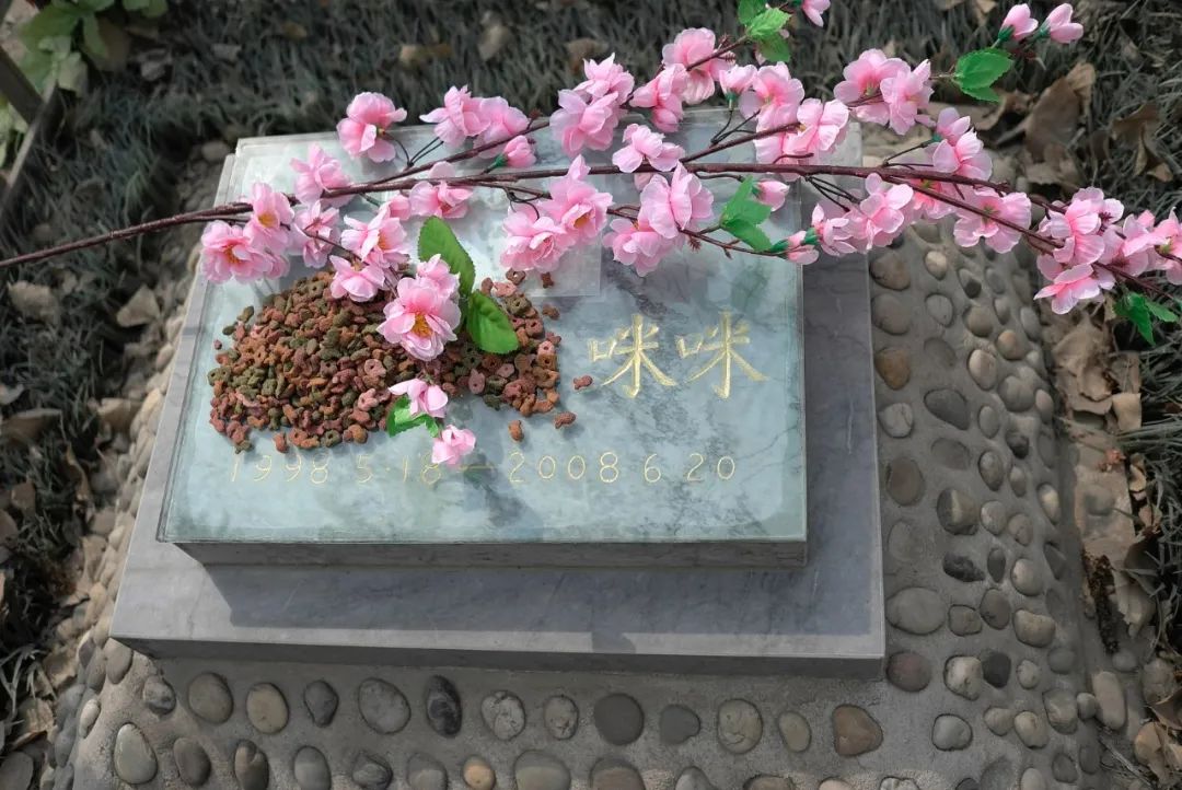 哪种宠物墓地最便宜,宠物墓地现状及发展