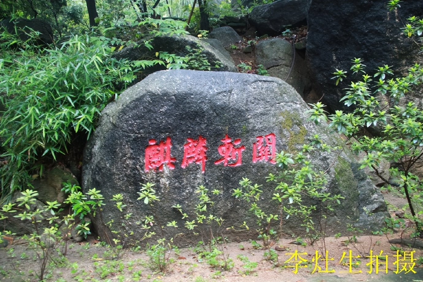 杨四将军庙简介,杨四将军庙在哪个位置