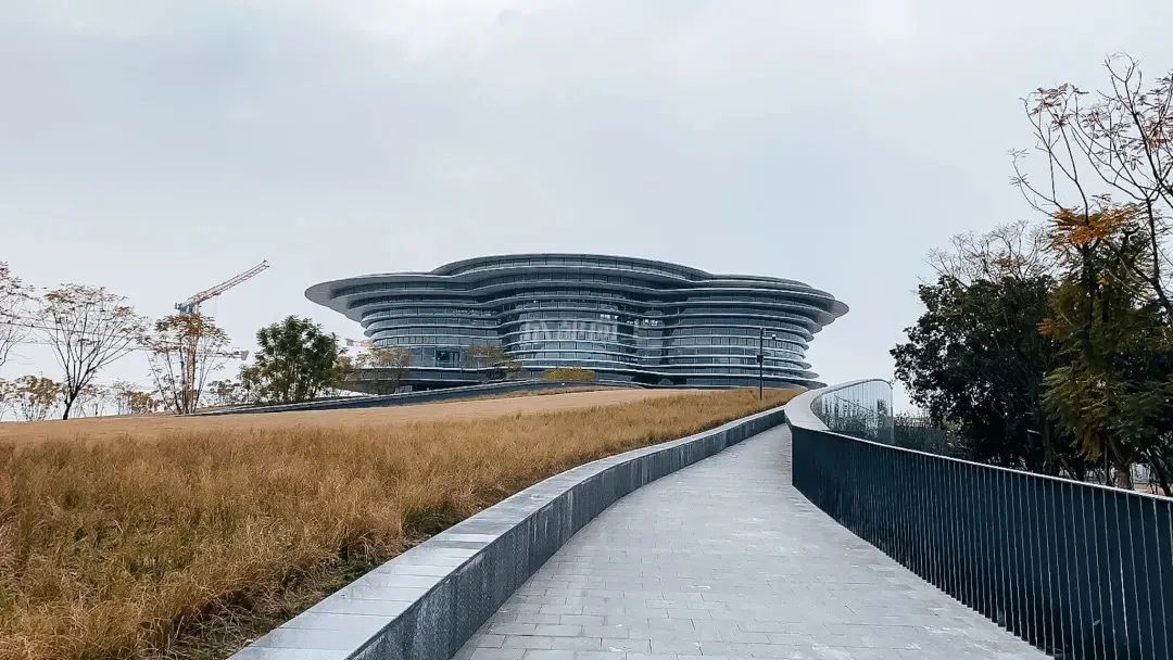 成都成华区城东体育公园,体育公园和大河口哪个值得玩