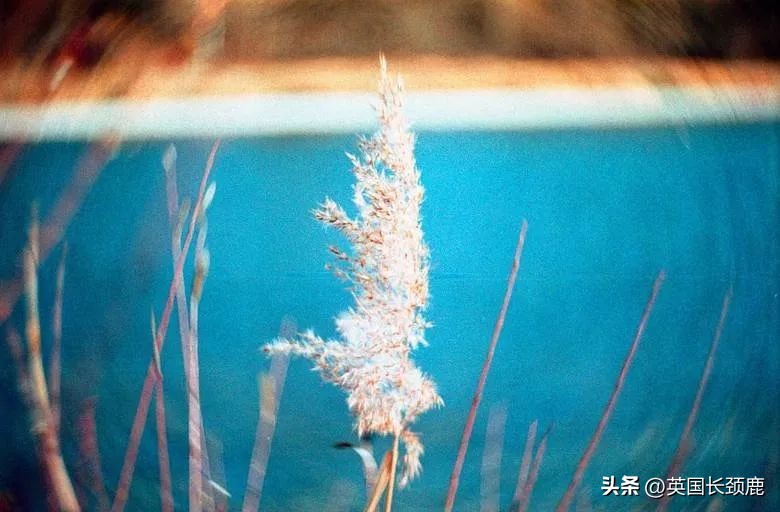 拍落日的胶片相机推荐,胶片机拍风景注意哪些问题