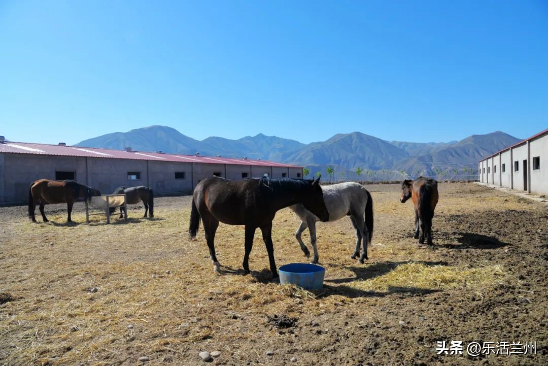 兰州西固风景区有哪些,不出兰州看丹霞