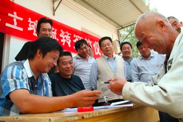 农村土地确权了山林没确权怎么办,农村土地确权后没有耕种会怎样