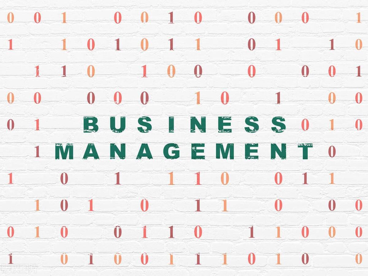 合资合作项目建议书,公司发展商业计划书